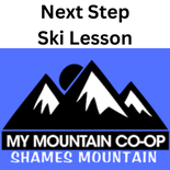 Next Step Ski Lesson