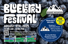 Blueberry Festival Chair Lift - One Way