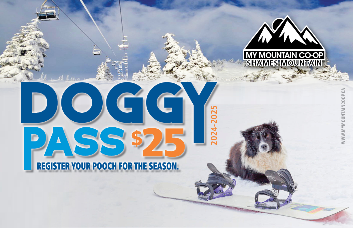 Doggy Pass